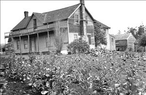 Photograph of Ferry House at Ebey's Landing on Whidbey Island, a weathered, wood-frame building, somewhat dilapidated with overgrown garden